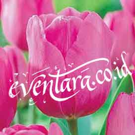 Dekorasi bunga tulip